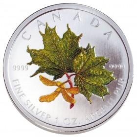 2001 Canadian $5 Coloured Silver Maple Leaf: Autumn 1 oz Fine